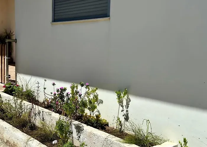 Penelope's House * 阿凡投