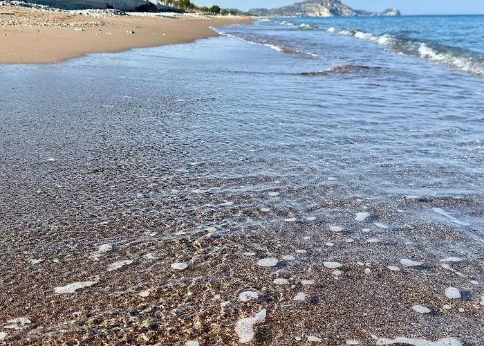 Penelope's House 阿凡投